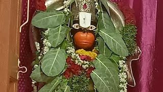 జిల్లేడు ఆకుల మాల/జిల్లేడు ఆకులు దండ/Leaves Garland for God/Jilledu Akula Danda