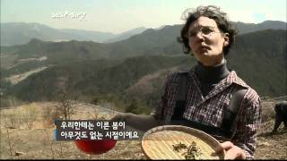 SBS스페셜 방랑식객, 백두대간을 가다(2011-05-01(일)_03