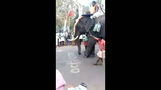 ELEPHANT ATTACK AT MANGAD POORAM