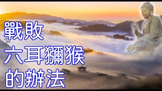 辦法破迷，戰勝六耳獼猴的根本辦法，自己主宰自己根本辦法#金泉看世界#漢字藏天機#金泉#神傳文字#