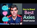 How to Breed Best Axies with Good Cards Axie Infinity Tutorial Urdu Hindi