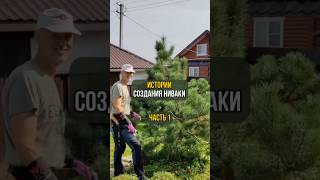 История создания ниваки. Часть 1