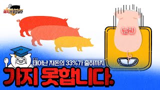 생시체중을 올려야 PSY  개선된다! | 6강 | 신베트 동물병원 신현덕 원장