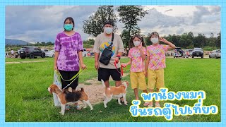 YimYamFamily | พาน้องหมาขึ้นรถตู้ไปเที่ยว