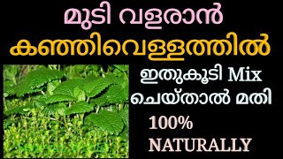 കഞ്ഞിവെള്ളത്തിൽ ഇത് കൂടി ചേർത്താൽ മുടി വളർച്ച മൂന്നിരട്ടിയാകും ll Fast Hair Growth Tip in Malayalam