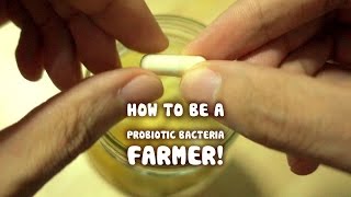 Growing your own Probiotic Bacteria (fruit ferment)
