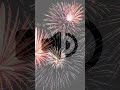 Firework - Sound Effect #shorts