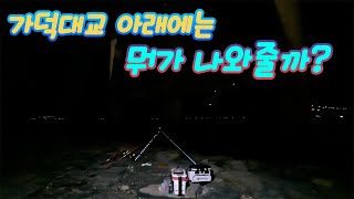 ep.23) 가덕대교 다리밑 원투낚시 포인트를 공략해보자! 새 로드와 친해지기~