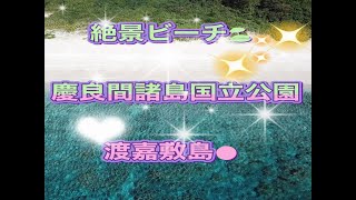 空撮！慶良間諸島国立公園・ディーズパルス沖縄