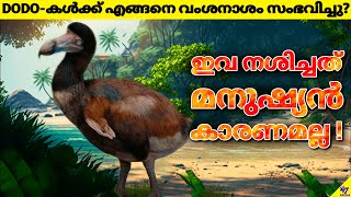 Dodo: The Extinct Bird | Real Sad Story Of Dodo Bird's Extinction | Facts Malayalam | 47 ARENA