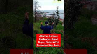 Allah'ım Bu Gece Dualarımızı Kabul Buyur Ellerimizi Boş Çevirme Bizi Cennetine Koy. Amin