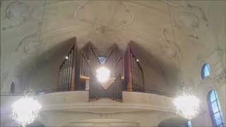 Salvo Reitano Orgel Concert vom 24.9.2017 Katholische Kirchenzentrum St.Nickolaus Brugg