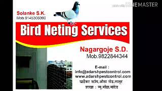 Bird neting services latur