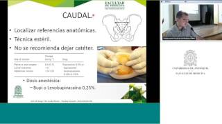 Técnias neuroaxiales en pediatria