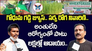 గోధుమ గడ్డి రసం ప్రయోజనాలు | Health Benefits With Wheat Grass | Godhuma Gaddi Juice Benefits Telugu