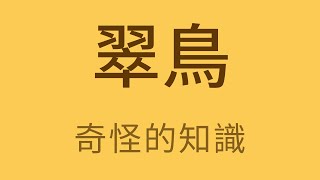 翠鳥捕魚你看過嗎? 牠的頭可以轉360度