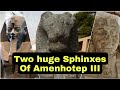 Two Huge Sphinx Statues of Amenhotep III Found in Luxor