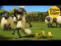 Shaun the Sheep 🐑 Shaun & The Chicks - Cartoons for Kids 🐑 Full Episodes Compilation [1 hour]