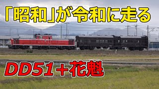 【オイラン オヤ31回送】ディーゼル機関の音を奏でながらDD51+オヤ31＆キヤ141＆DE10+キハ47＆キヤ143が冬の金沢を駆け抜ける！