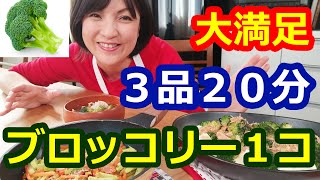 ブロッコリー１コが２０分で３品に！１人150円のレンジで簡単夕食ヘルシオ（ヘルシオ）【①ブロッコリーと豆腐の温サラダ②ブロッコリー豚汁③ブロッコリー茎のチーズきんぴら】阪下千恵