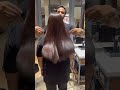 global colour 5.35 majirel loreal shortvideo youtube haircut allah haircolor newvideo viral