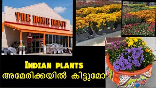 Plant Nursery in USA|Home depot nursery tour|indoor \u0026 outdoor|indian plants in usa|fall plants|mums