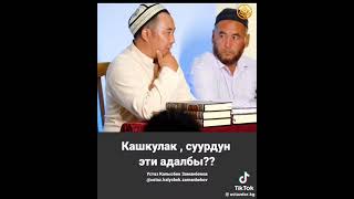 Кашкулак,суурдун этин жесе болобу