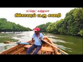 பிச்சாவரம் படகு சவாரி🤯 world 2nd largest mangrove forest❗pichavaram boating  budget tourism news