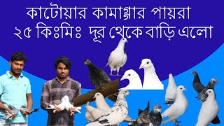 EP-109 কাটোয়ার কামাগার পায়রা +917908766253 KATWA KAMAGAR PIGEONS