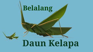 Cara Membuat Belalang Dari Daun Kelapa