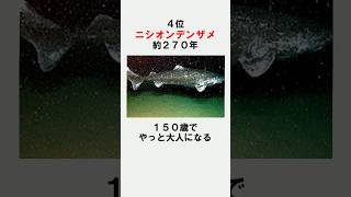 寿命が長い生物トップ５【雑学】 #shorts