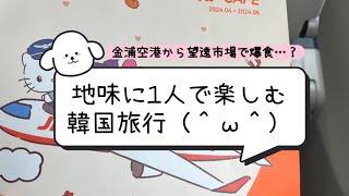 ｛韓国ひとり旅｝望遠市場でSNSで見たやつ全部食べたい/金浦空港利用/ダイソーで1人寄り道/2024年春①