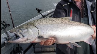 Anchor Fishing for Summer Chinook and Steelhead! |  Tips for targeting BOTH at the same time!