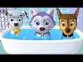 Paw Patrol A Day in Adventure Bay VS Adventure On A Roll - Pups Daily Life  - Fun Pet Kids Games