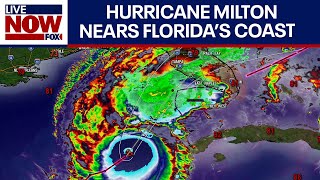 Florida Rep. Carlos Gimenez discusses Hurricane Milton  | LiveNOW from FOX