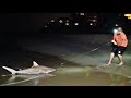 Shark Fishing Battle | Dude Perfect