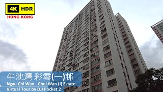 【HK 4K】牛池灣 彩雲(一)邨 | Ngau Chi Wan - Choi Wan (I) Estate | DJI Pocket 2 | 2022.06.17