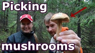 #62 Russian - picking mushrooms, собираем грибы