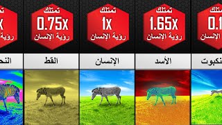 كيف ترى الحيوانات العالم؟ بعضها يرى أفضل من الإنسان و ترى ما لا يمكننا رؤيته