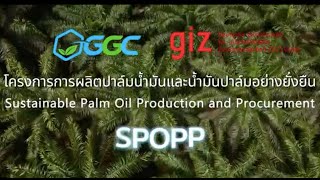 Our Success Story: Sustainable Palm Oil Production and Procurement