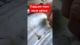 TUBELESS STEM VALVE REPAIR