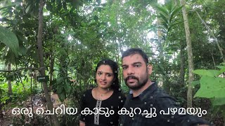 Kerala antique | kerala medicinal plants | Numismatics