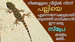 വീട്ടിൽ നിന്ന് പല്ലിയെ ഓടിക്കാൻ ഈ ഒരു സ്പ്രേ മതി | Magic spray to get rid of lizards from home