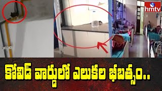 ఆదిలాబాద్ రిమ్స్ హాస్పిటల్ : కోవిడ్ వార్డులో ఎలుకల భీబత్సం | Adilabad Rims Hospital | hmtv