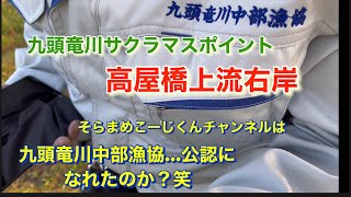 九頭竜川サクラマスポイント高屋橋上流右岸 そらまめこーじくんチャンネルは九頭竜川中部漁協の公認になれたのか？笑