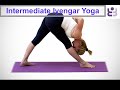 Intermediate Iyengar Yoga Class. Standing Forward Bends