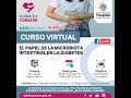 #CursoVirtual “El papel de la microbiota  intestinal en la diabetes” - Dra. Nayeli Nájera García