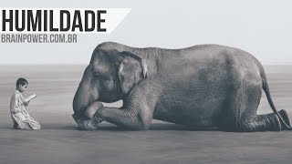 O que é HUMILDADE? | Academia Cerebral