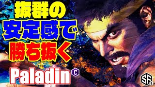 【スト6】抜群の安定感で勝ち抜く Paladin (リュウ) 【STREET FIGHTER 6】