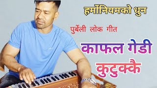 काफल गेडी कुटुक्कै || हर्मोनियमको धुन  || Kafal Gedi Kutikkai || Live Harmonium